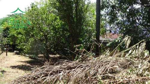 Terreno Residencial À Venda, Jardim Dos Pinheiros, Atibaia. - Te0198
