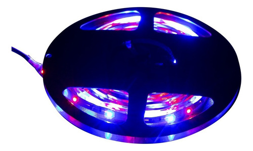 Tira Led Rollo 5 Metros 3528smd Colores Ip20 3000k