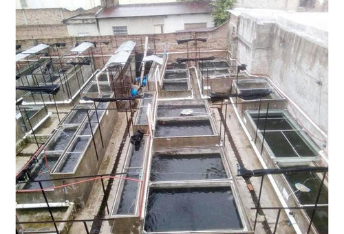 Excelente Oportunidad Comercial Fabrica O Deposito