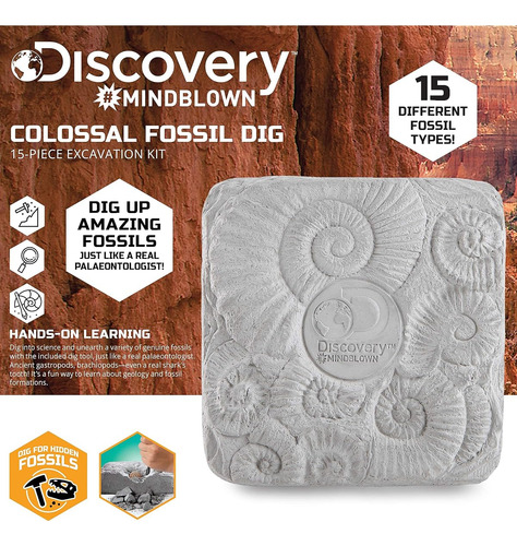 Kit Juguetes Para Niños Juego Excavacion Fosiles Colosales