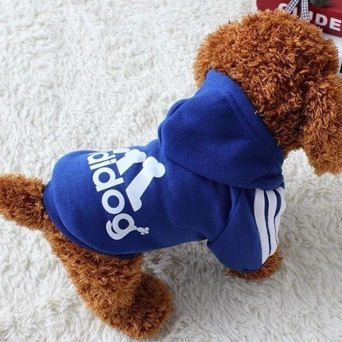 Buzo Sudadera Para Perros 42cm + Envío Gratis