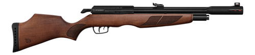 Rifle Gamo Riser Pcp (punisher) 40j/5.5mm/ R&b Center!