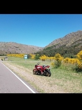 Imagen 8 de 11 de Suzuki Bandit