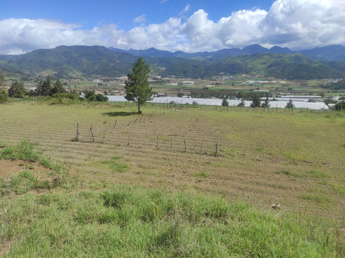 Solar En Constanza Ideal Para La Construcción De Villas.