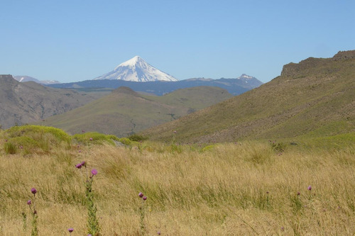 Imagen 4 de 30 de Campo En Venta Zona Alumine, Neuquén
