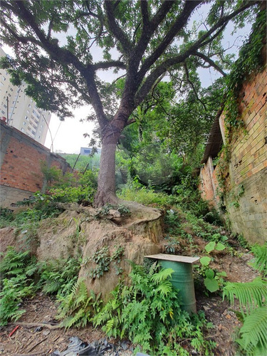 Imagem 15 de 15 de Terreno-são Paulo-campo Limpo | Ref.: Reo650663 - Reo650663