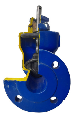 Válvula Registro Gaveta C/flanges Ferro 100mm Pam Saint-gobain R23fvgtw