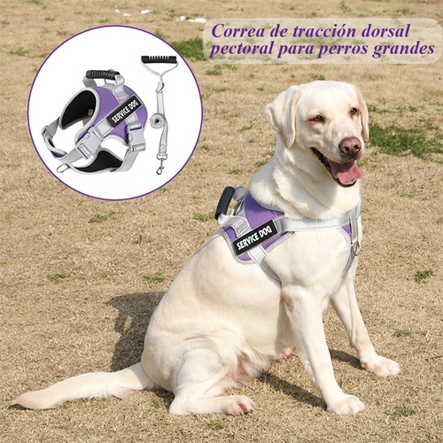 Arnés Para Mascota, Arnés Ajustable Y Reflectante Con Correa