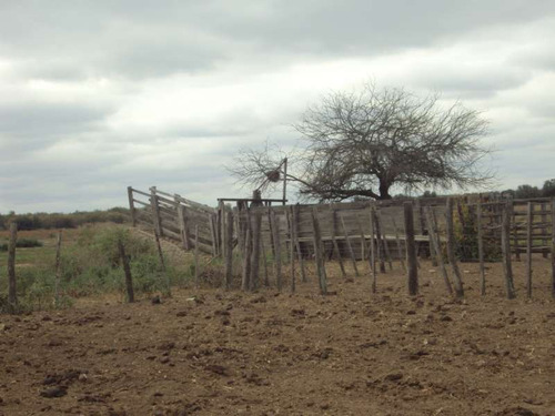 Imagen 9 de 9 de Campo Ganadero En Venta En Santiago Del Estero