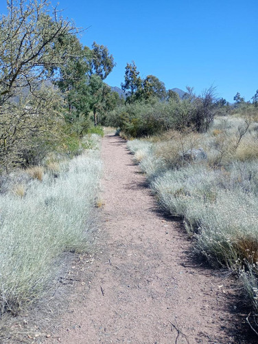 Terreno En Venta En Blanco Encalada