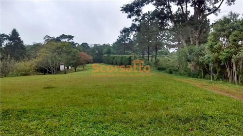 Imagem 12 de 13 de Chácara À Venda, Potuverá, Itapecerica Da Serra/sp - 3374