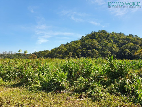 Imagem 1 de 10 de Terreno - Rio Grande Da Serra - Te00023 - 33992921
