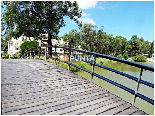 Imagen 16 de 30 de Apartamento En Alquiler Anual