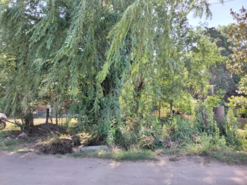 Imagen 3 de 3 de Terreno 300m2 A Sólo 4 Cuadras Del Río