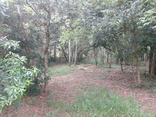 Imagem 4 de 9 de Condominio Terreno Ibiuna A 300 Mts Da Represa, Escritura Ok