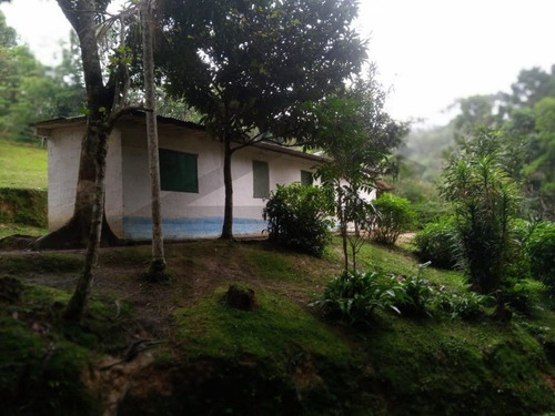 Imagem 26 de 29 de Sitio Em Juquitiba, Apenas 2 Km Da Rodovia! Excelente Localização. - 198 - 69690779