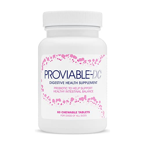 Nutramax Proviable Suplemento De Salud Digestiva Hpcm2