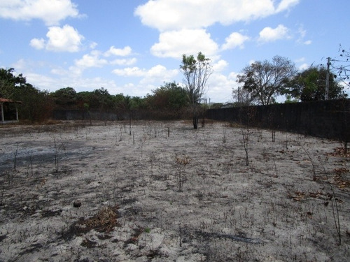 Terreno Para Alugar Na Cidade De Eusebio-ce - L9537