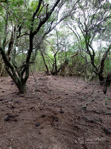 Chacras En Venta Financiadas - Villa Serrana
