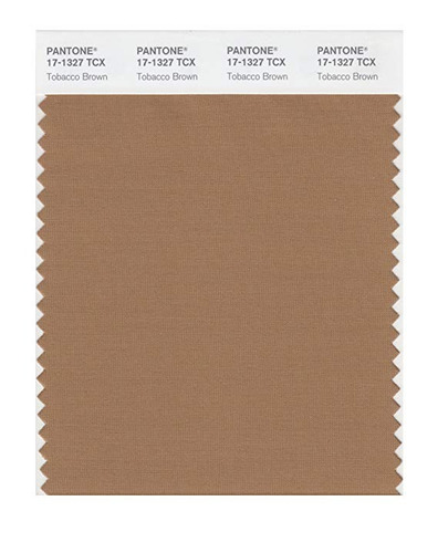 Tarjeta De Swatch Del Color Pantone Inteligente 17-1327x, Ma