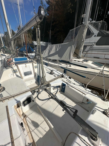 Holland 34