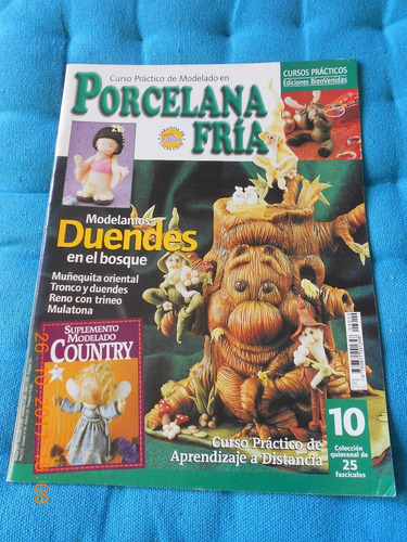 Revista Fasciculo N° 10 Porcelana Fria J. Rubicce  2003
