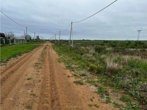 Vendo Lote De 1 Hectárea En San Justo, Entre Ríos.