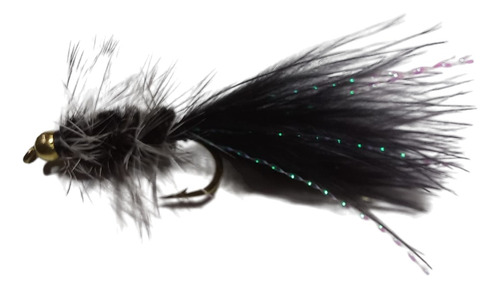 Mosca Woolly Bugger Fly