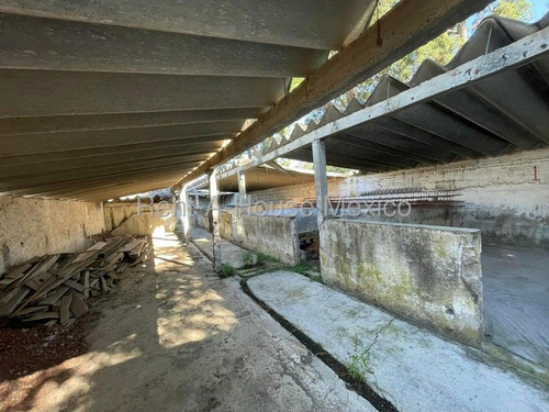 Rancho En Venta En Calle Emilo Portes, Jaltepec Ru 25-3119.