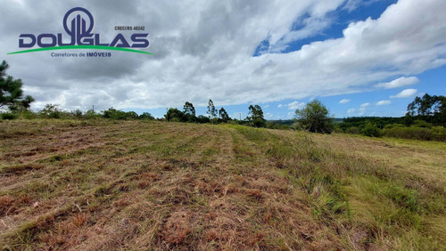 Imagem 13 de 15 de 4 Hectares Ótima Localização - 1714