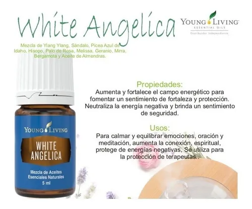 White angelica 2024