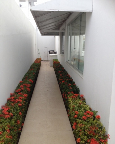 Casa - Pp11 - 32012380