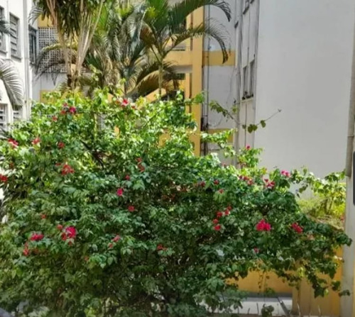 Apartamento De 2 Dormitórios E 1 Banheiro