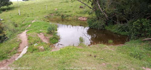Imagem 10 de 15 de Fazenda Para Venda Em Barra Do Ribeiro, Douradilho - Barra Do Ribeiro - Rs, 3 Dormitórios, 2 Banheiros - 4010_1-1822734