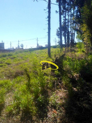 Imagem 4 de 9 de Terreno À Venda, 1015 M² Por R$ 300.000,00 - Chácara Represinha - Cotia/sp - Te0819