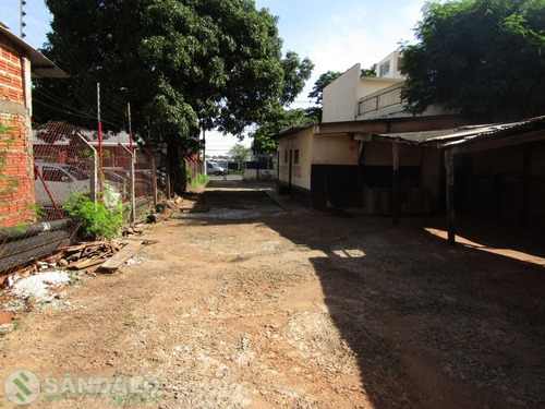 Imagem 6 de 11 de Terreno Para Alugar - 00447.001