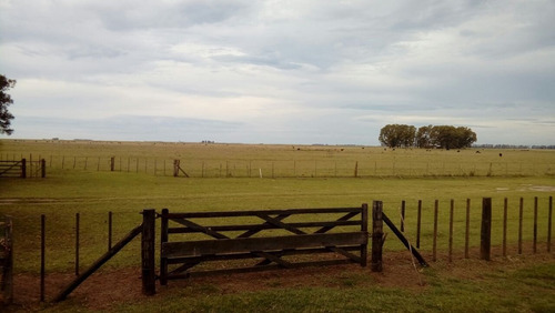 Imagen 22 de 30 de Campo Mixto En San Cayetano