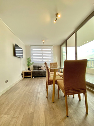 Arriendo Año Corrido O Hasta Diciembre, Reñaca