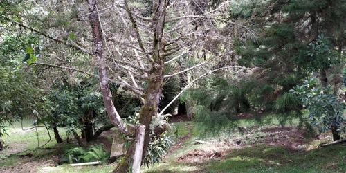 Imagen 6 de 19 de Hermosa Finca En Venta En El Carmen De Viboral