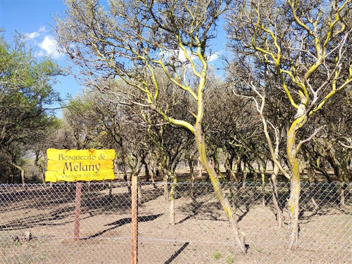 Imagen 1 de 14 de Lote De 1976,64m2 - Bosquecito De Melany