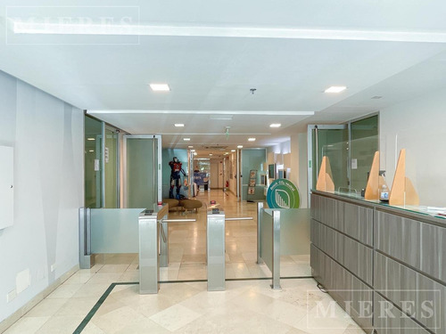 Imagen 11 de 23 de Oficinas En Alquiler De 1200 M2 En Lomas De San Isidro