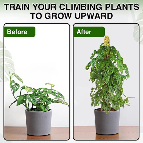 Estacas Flexibles Para Plantas, Auténtico Musgo