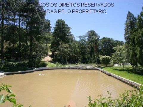 Imagem 10 de 30 de Sitio - St00004 - 33546399