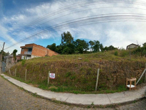 Imagem 4 de 4 de Terreno - Salgado Filho - Ref: 8401 - V-8401