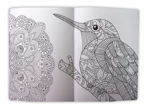 4 Libros Mandalas Iluminar Colorear Rélajate Medita Armoniza