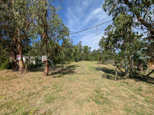 Terreno Limpio Y Cercado Bella Vista 150 Mts Del Mar. A Minutos De Piriápolis