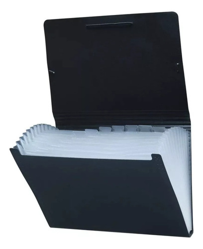 Carpeta Clasificador Fuelle A4 12 Divisiones C/elastico Lama Negro