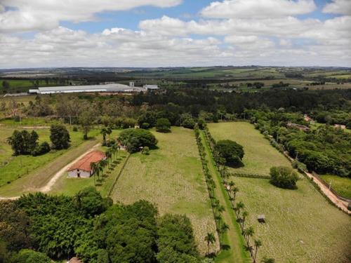 Imagem 5 de 10 de Haras À Venda Em Itapetininga/sp - Ha00009 - 68917223