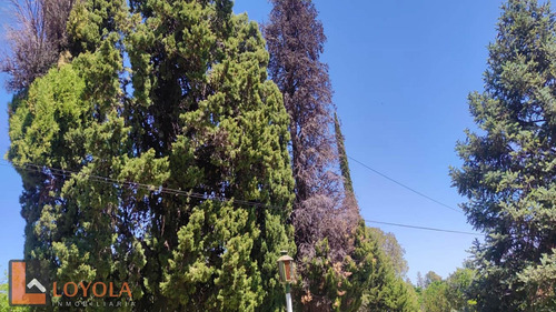 Casa Para Restaurar En Venta Rincón Del Este Merlo San Luis