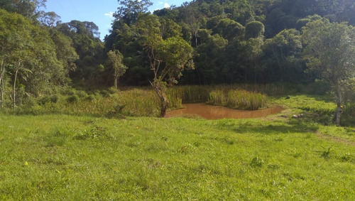 Imagem 6 de 30 de Chácara 20.000 M² C/lindo Chalé De Madeira A 1,5 Km Da Rodovia Em Juquitiba-sp